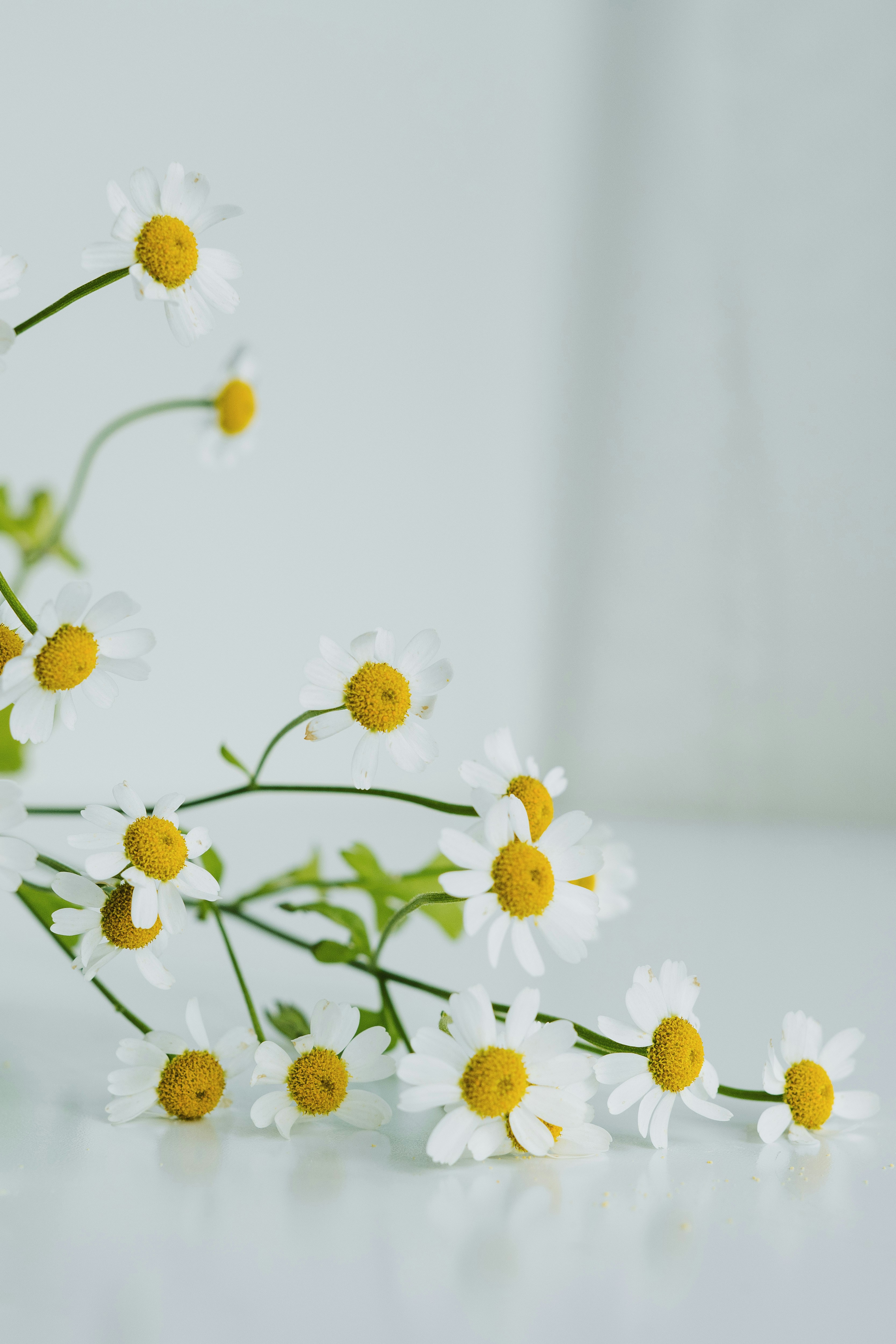 Photo by anitaaustvika