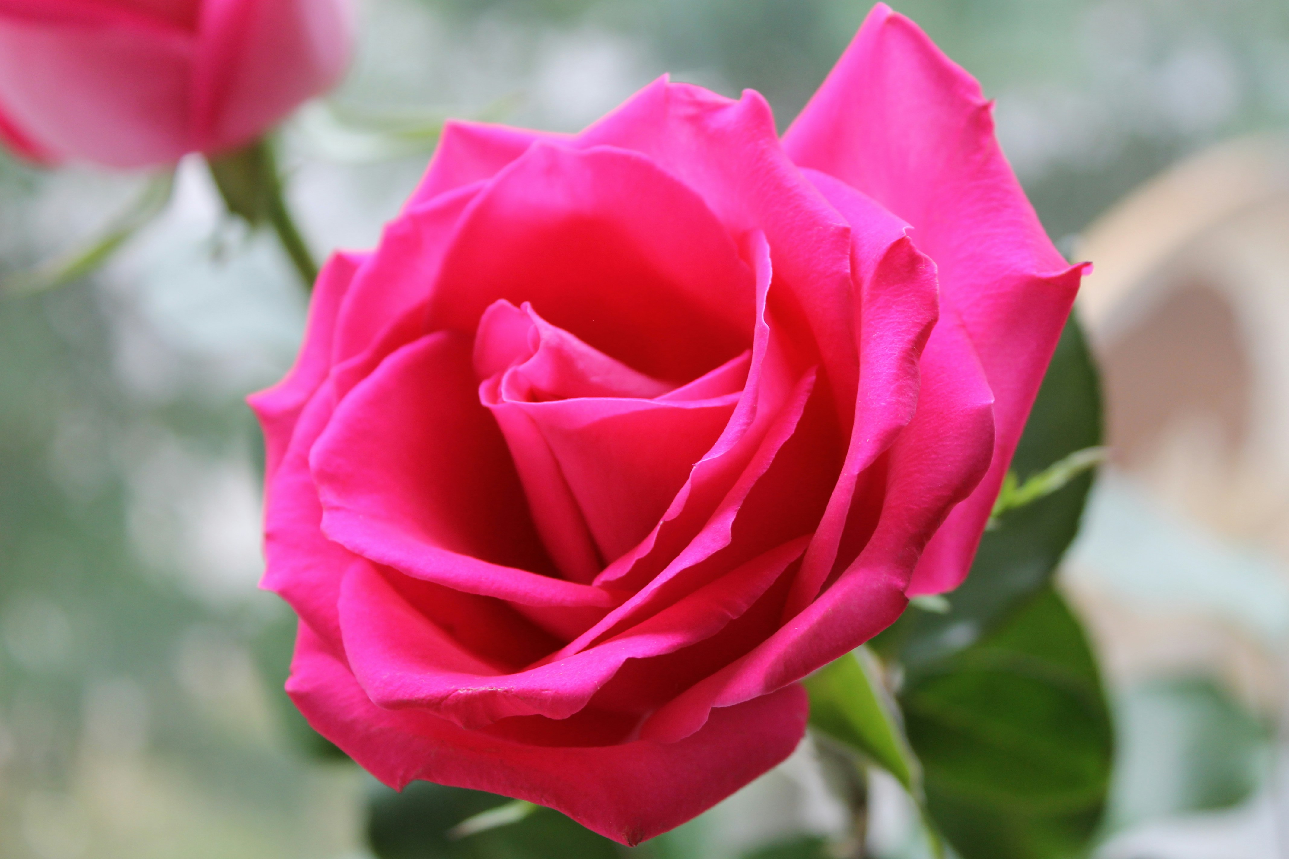 Photo by whitenorthshore