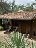 A rustic house with a terracotta tiled roof surrounded by lush greenery. There are two blue lounge chairs next to a brick wall of the house, facing a small garden area with potted plants and large agave leaves in the foreground. Tall trees can be seen in the background.