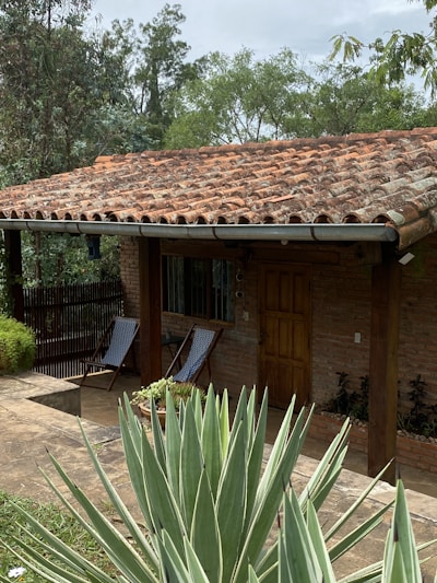 An outdoor view of a stylish eco-friendly house with olive and terracotta accents.