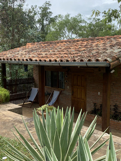 A cozy eco-friendly house surrounded by native plants in a sunny northern Chilean landscape.