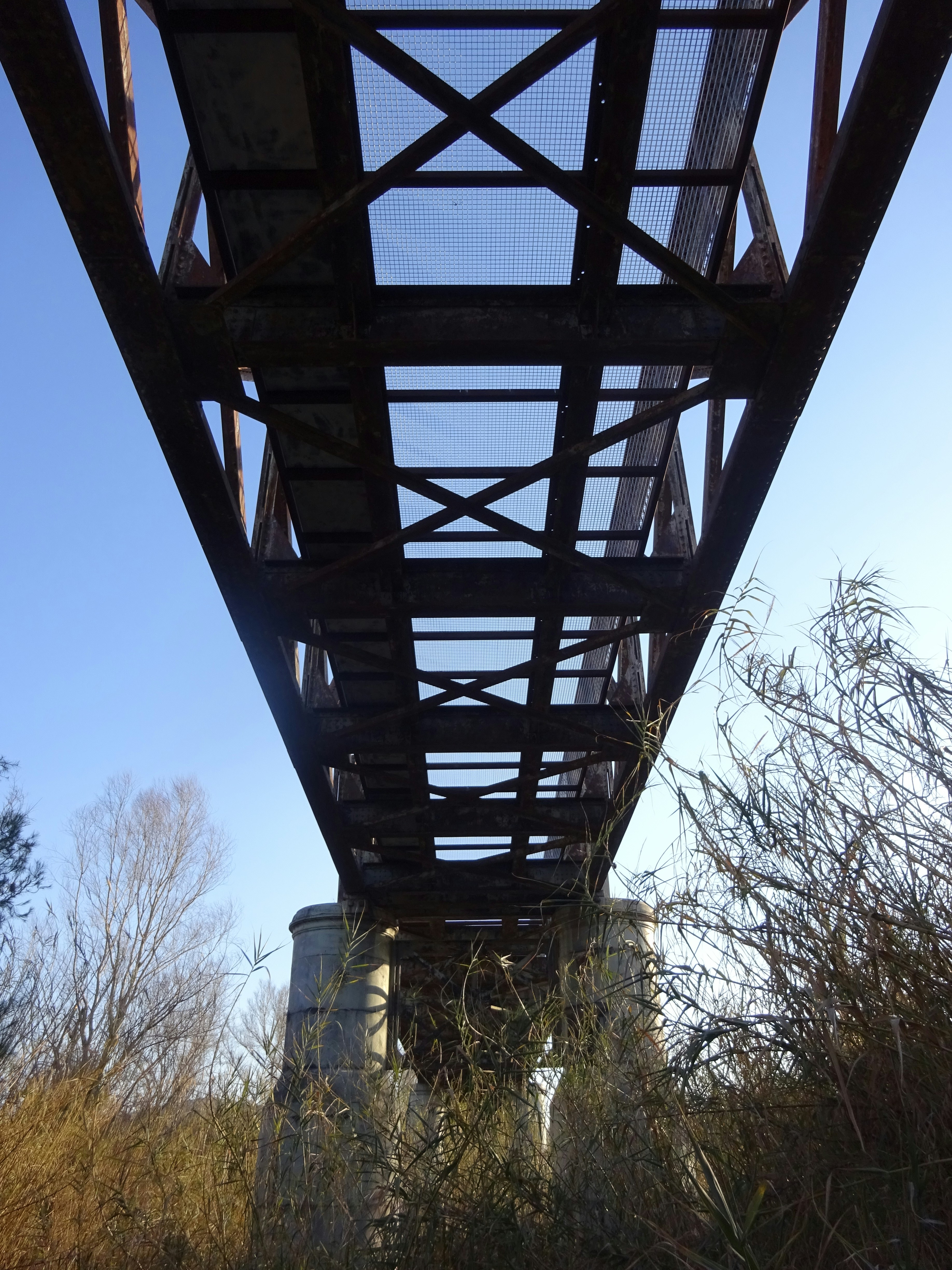 Photo by ludovico_06