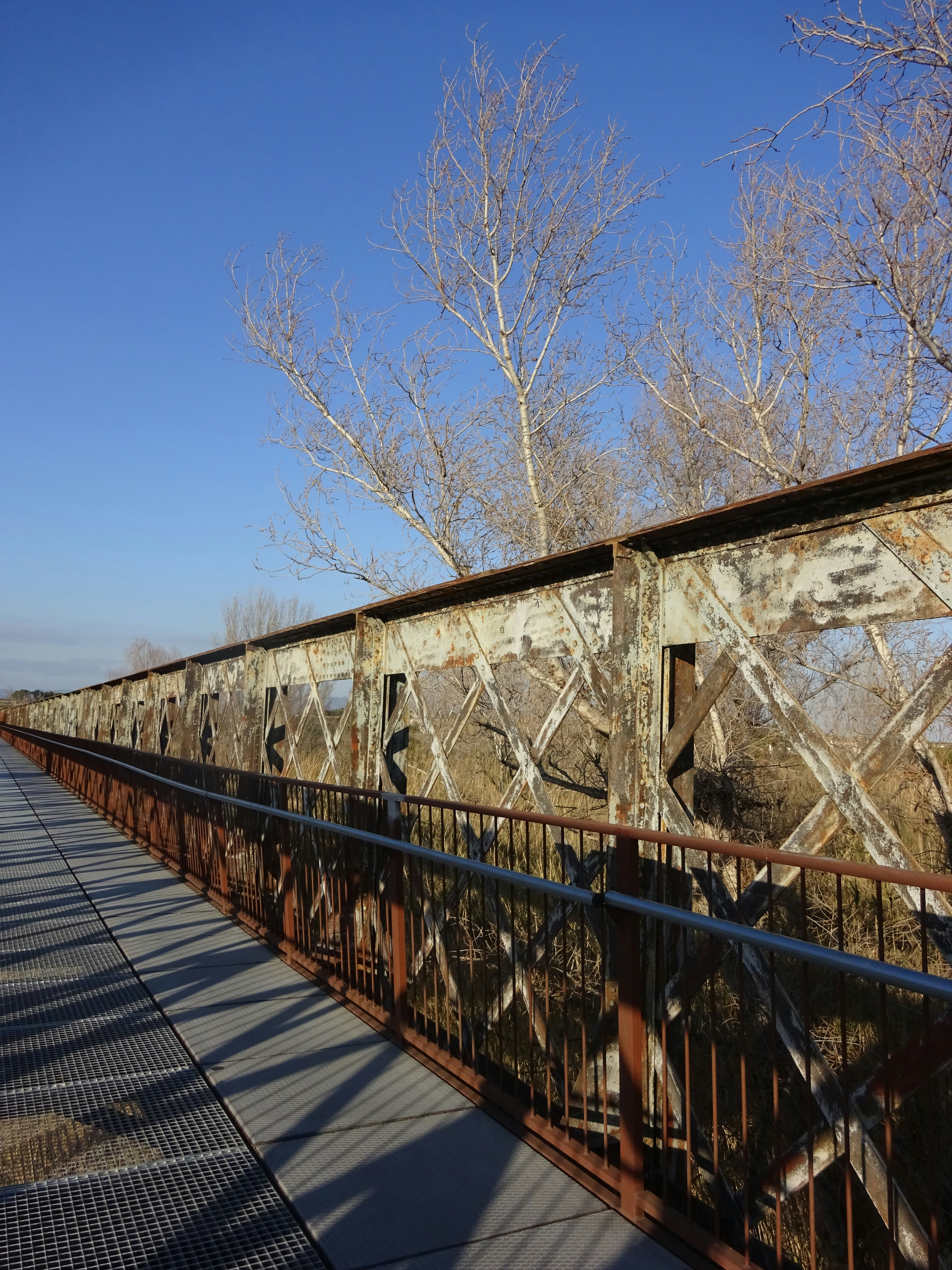 Photo by ludovico_06