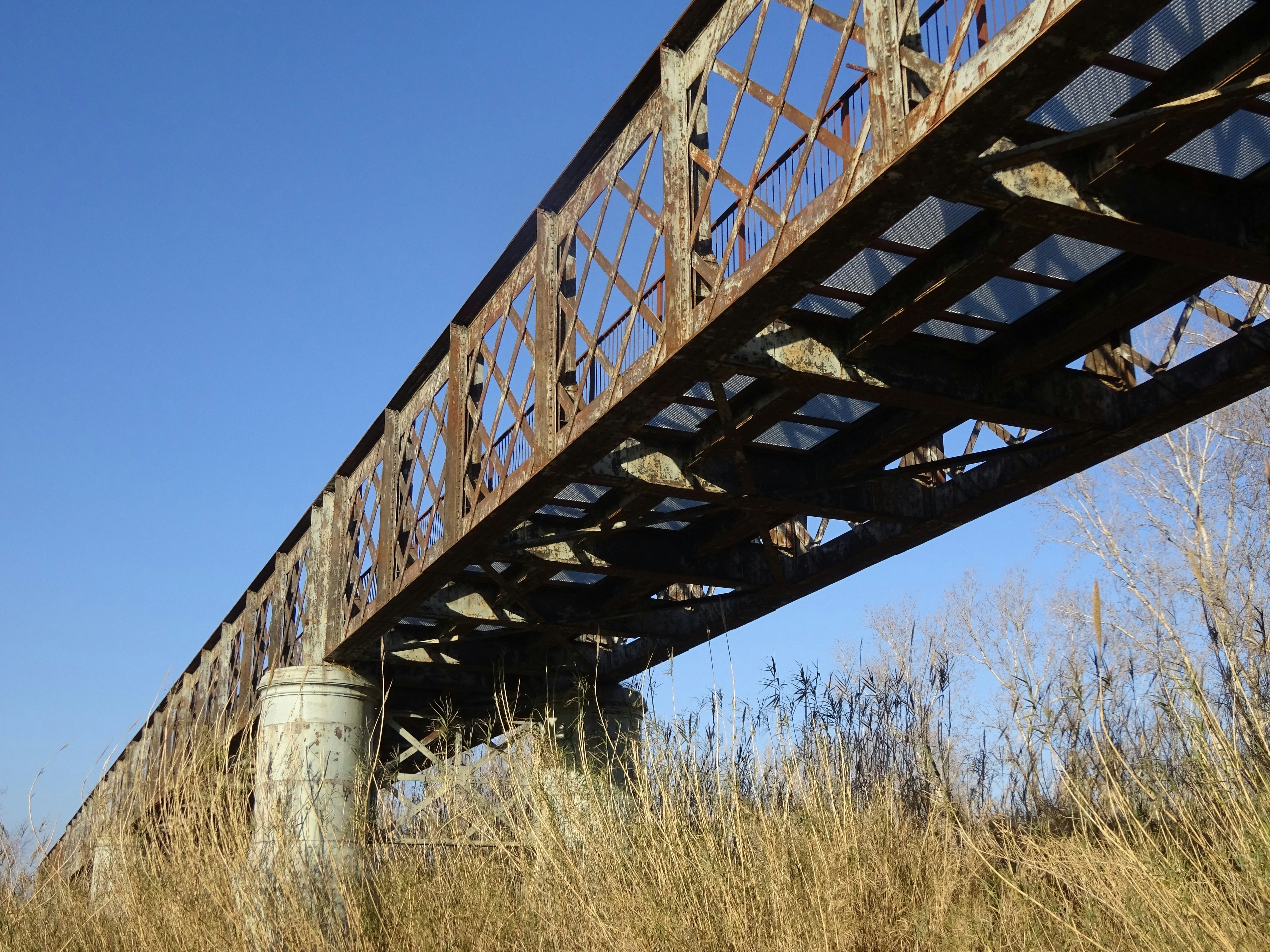 Photo by ludovico_06