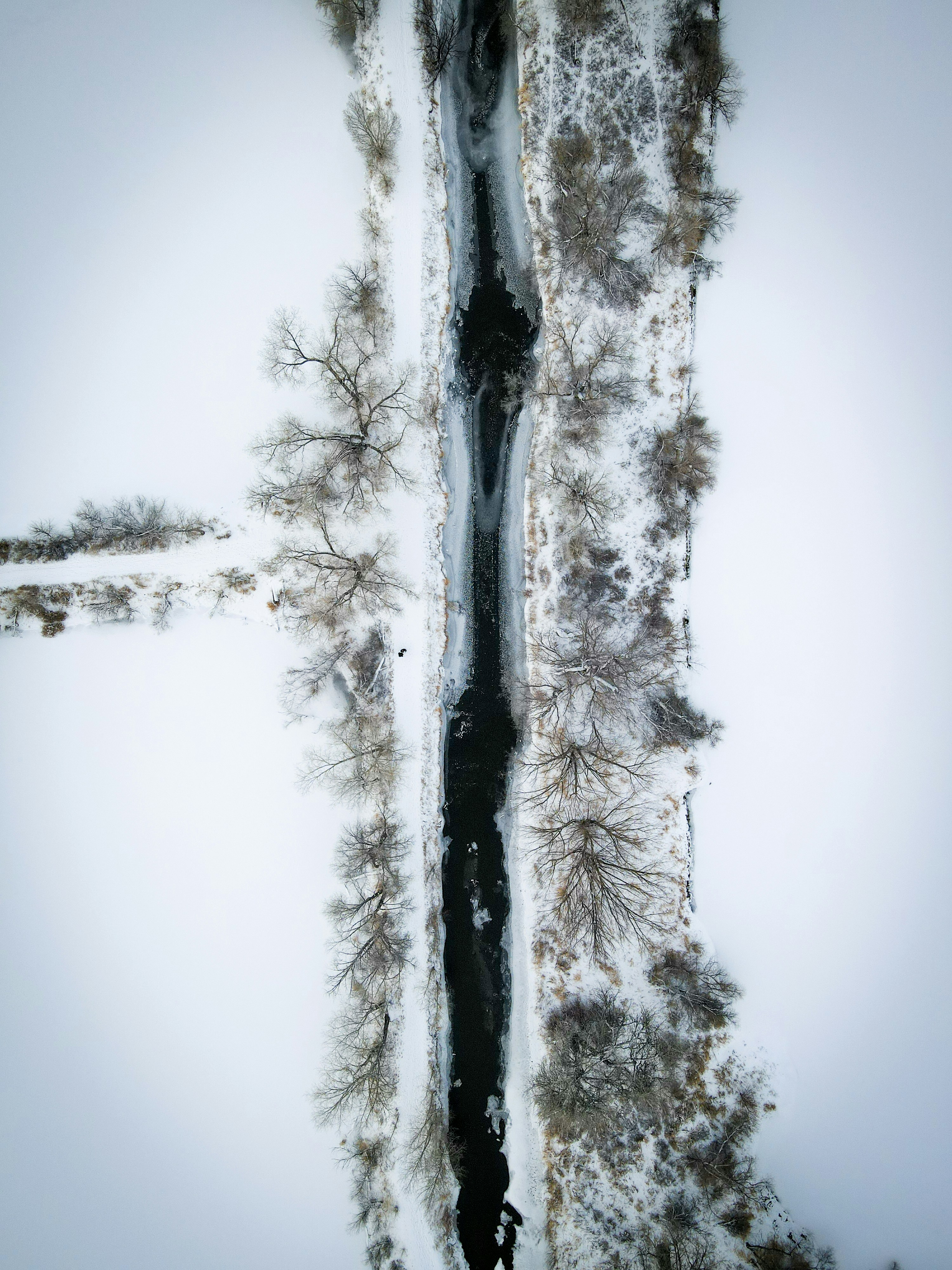 Photo by frankielopez