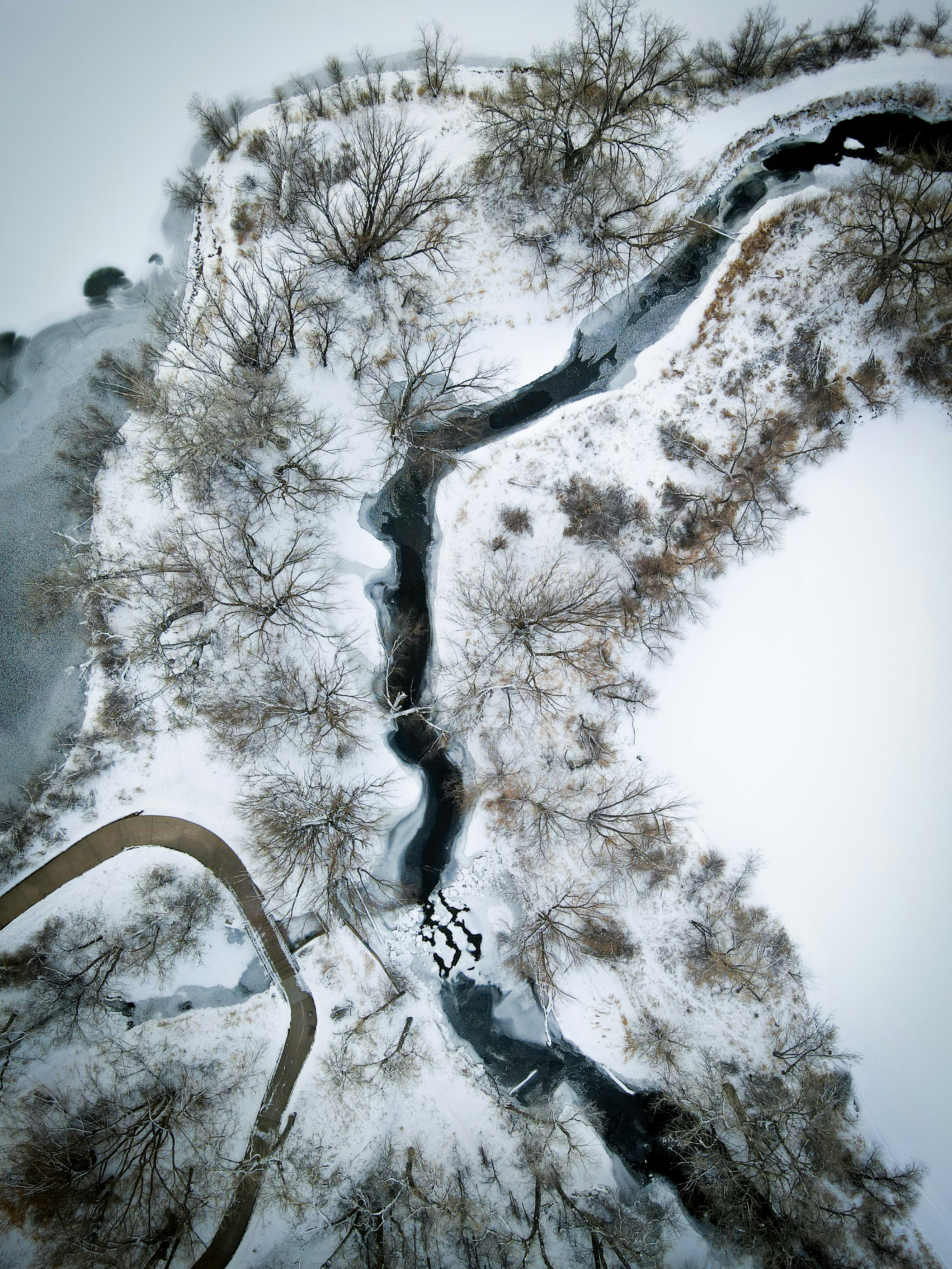 Photo by frankielopez