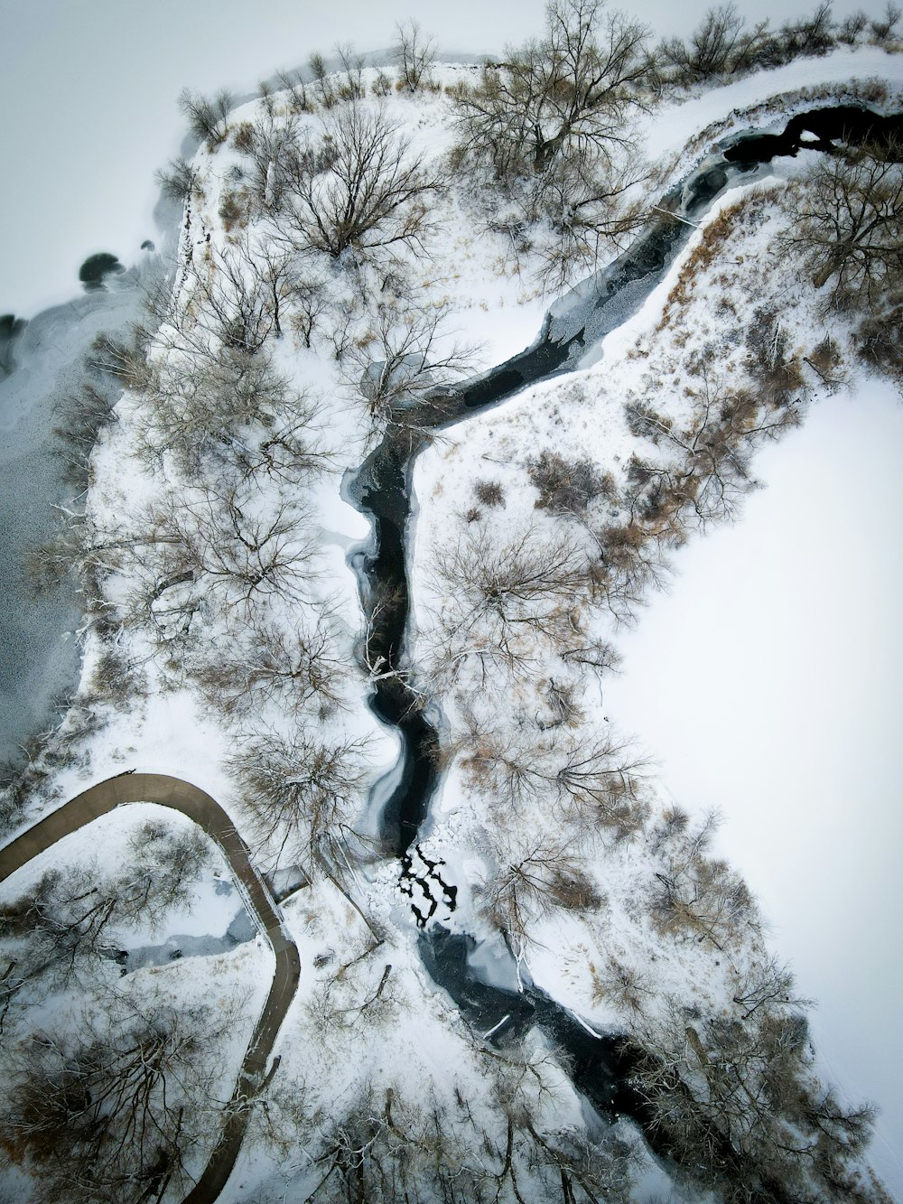 an aerial view of a river running through a snow covered forest