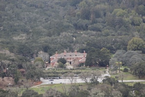 A large estate with a brick mansion surrounded by dense forest and greenery. The mansion features multiple chimneys and a symmetrical facade. There is a driveway leading up to the house with cars parked in front of it. The background is dominated by a variety of lush trees, and the foreground includes a lawn and some sparse trees.