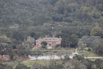 A large estate with a brick mansion surrounded by dense forest and greenery. The mansion features multiple chimneys and a symmetrical facade. There is a driveway leading up to the house with cars parked in front of it. The background is dominated by a variety of lush trees, and the foreground includes a lawn and some sparse trees.