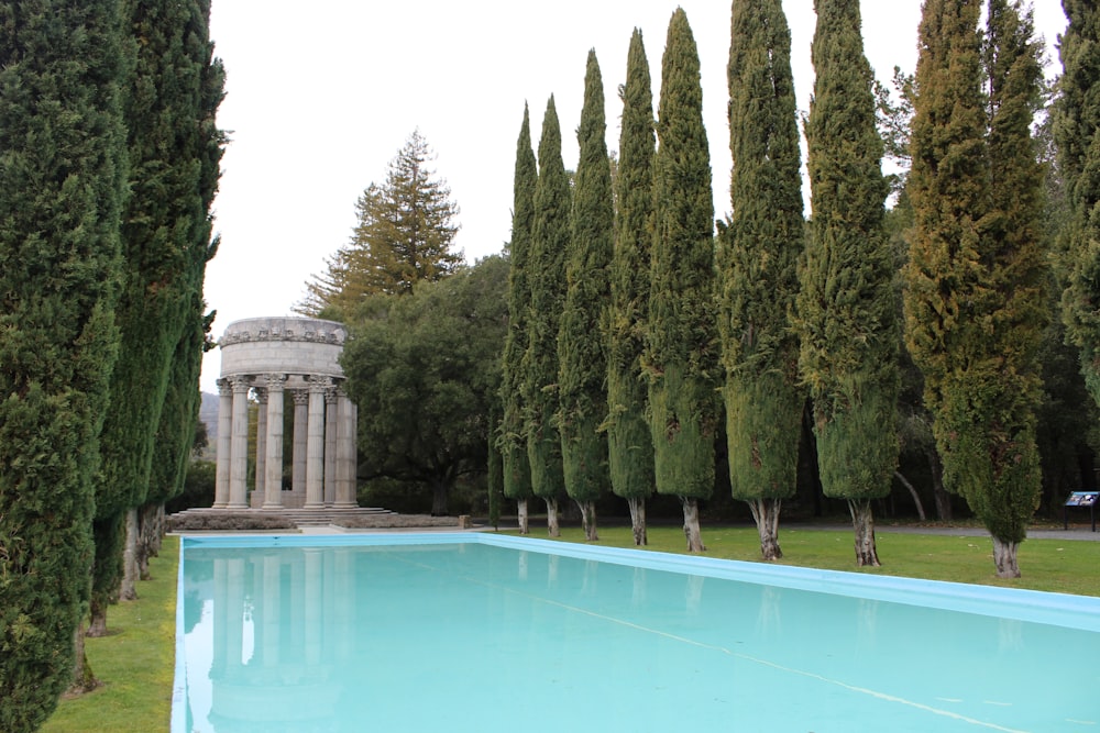 uma piscina cercada por árvores em um parque