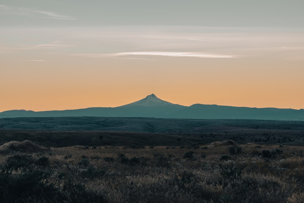 a field with a mountain in the distance