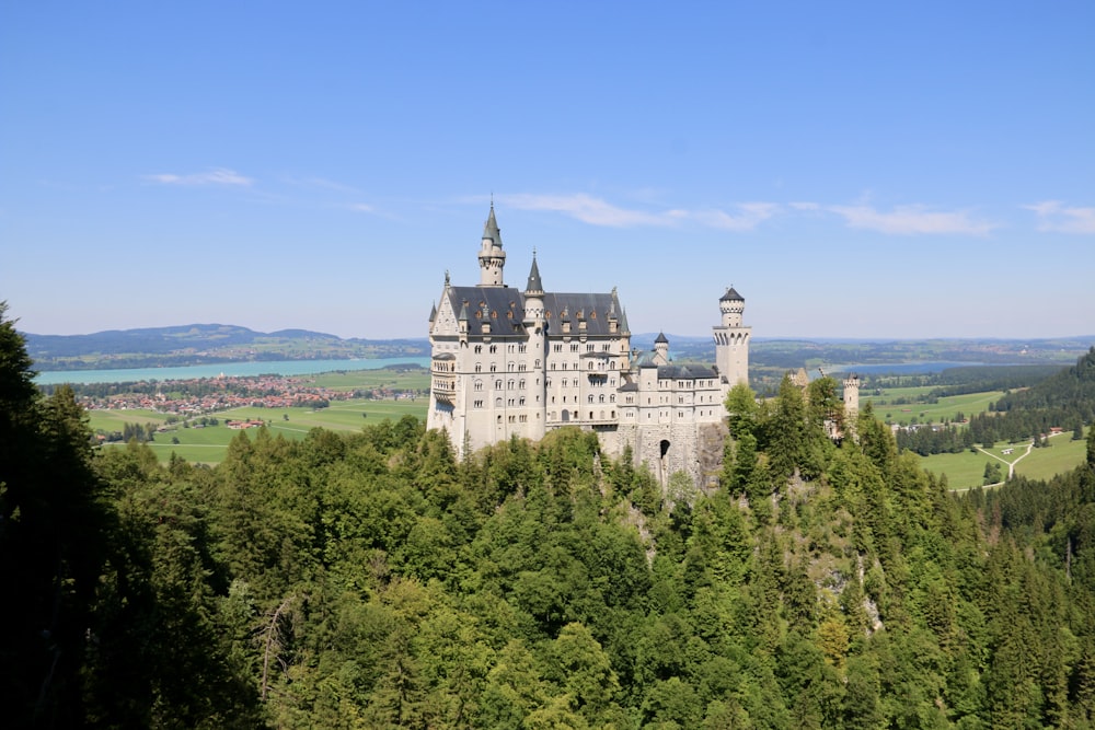 a castle on top of a hill surrounded by trees