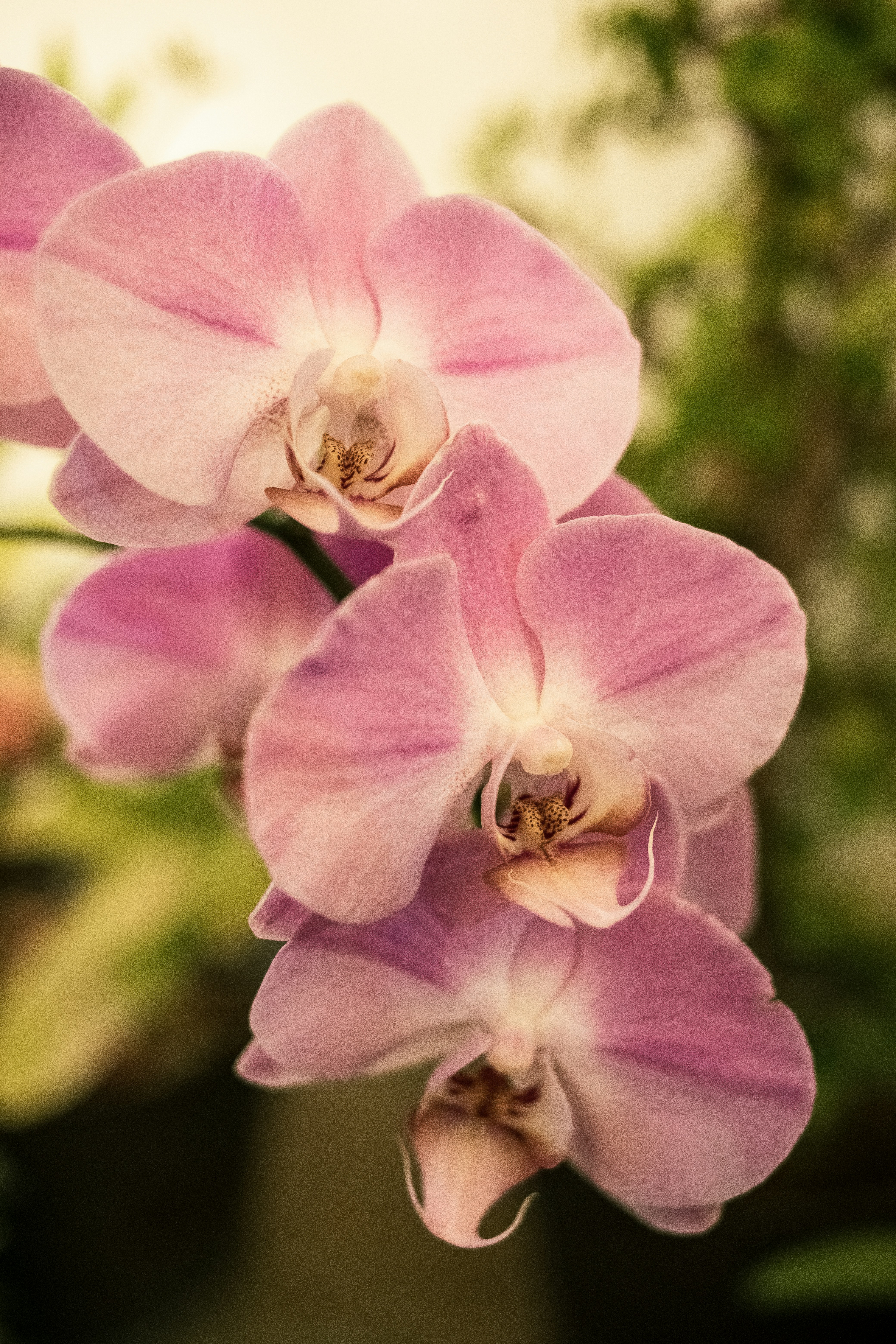 Photo by alex_quezada