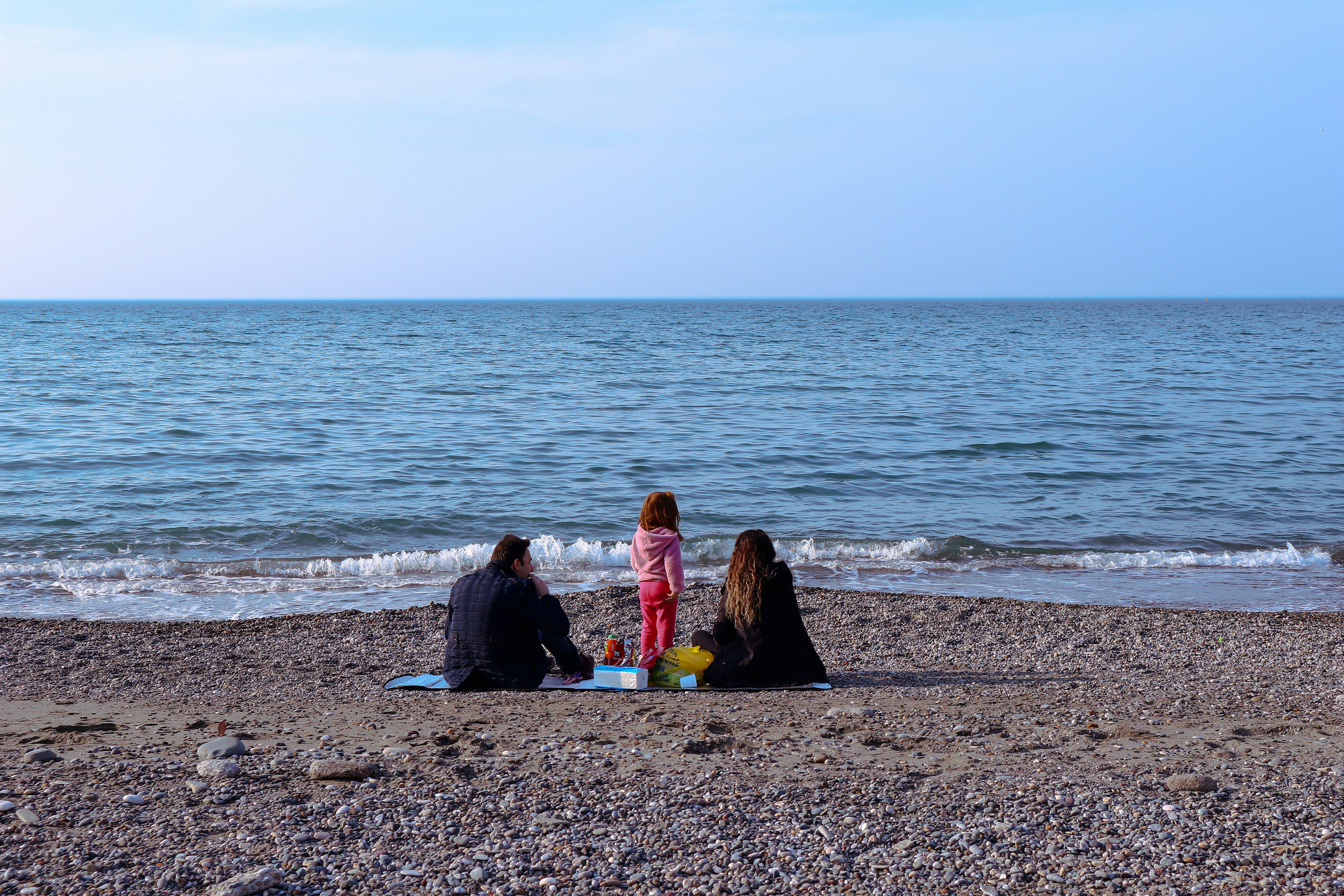 Jess Vancolen — customer review for The Blueberry Orchard PEI