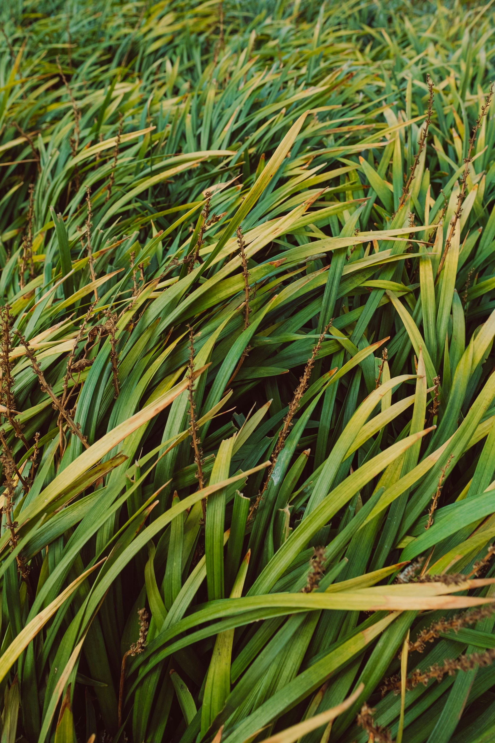 Photo by constantinavornic