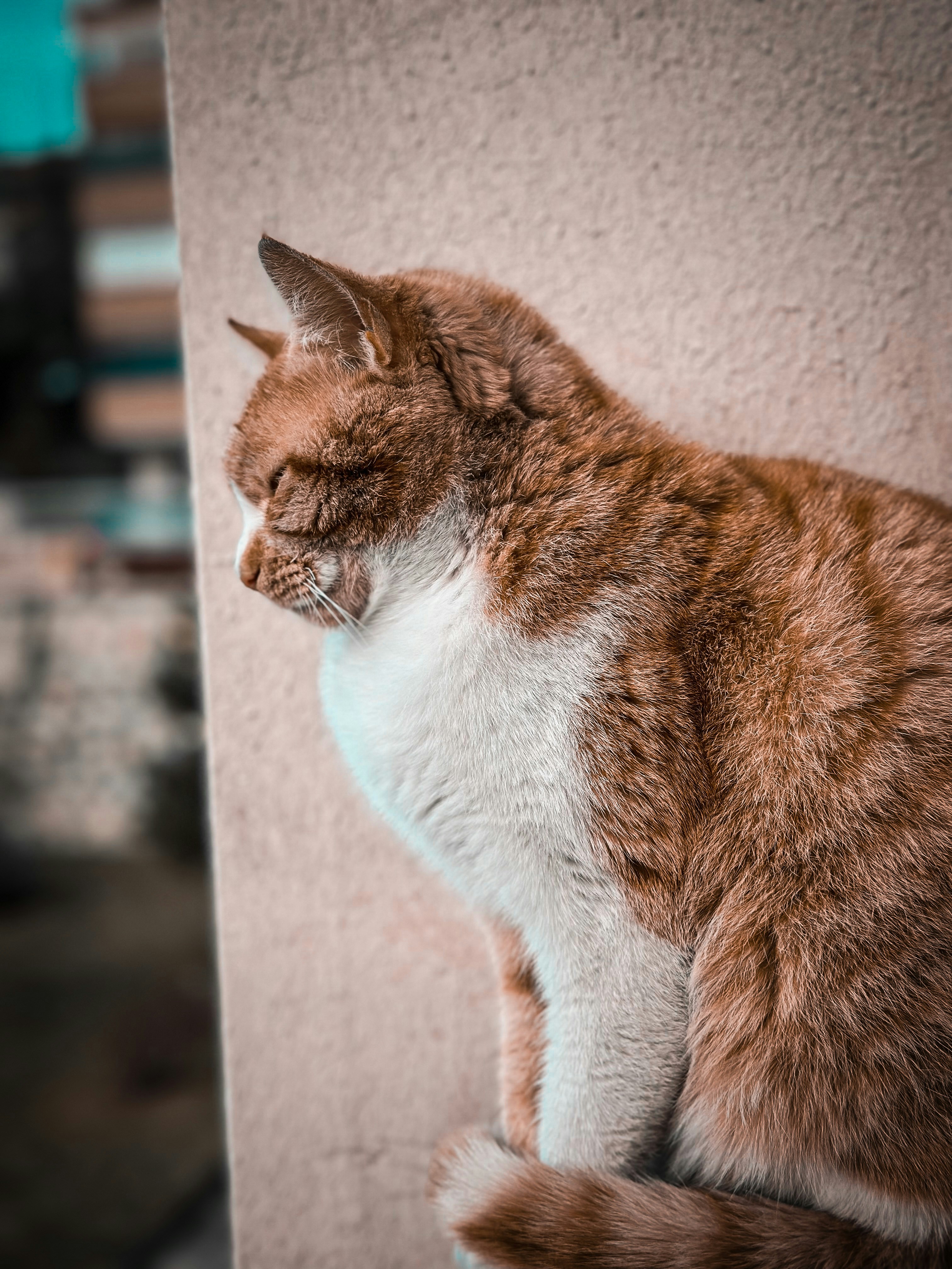 Photo by yigityildiz_0