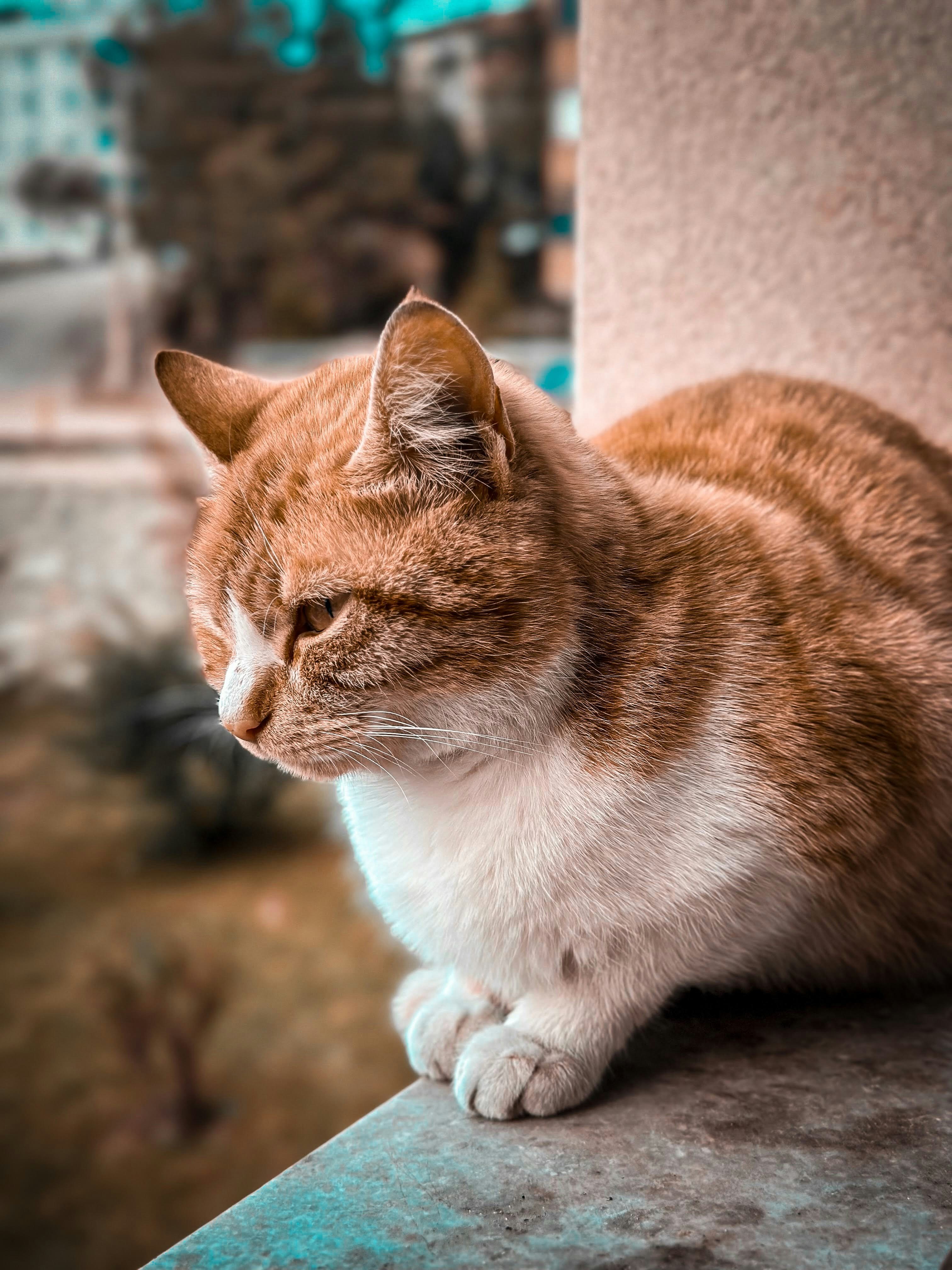 Photo by yigityildiz_0