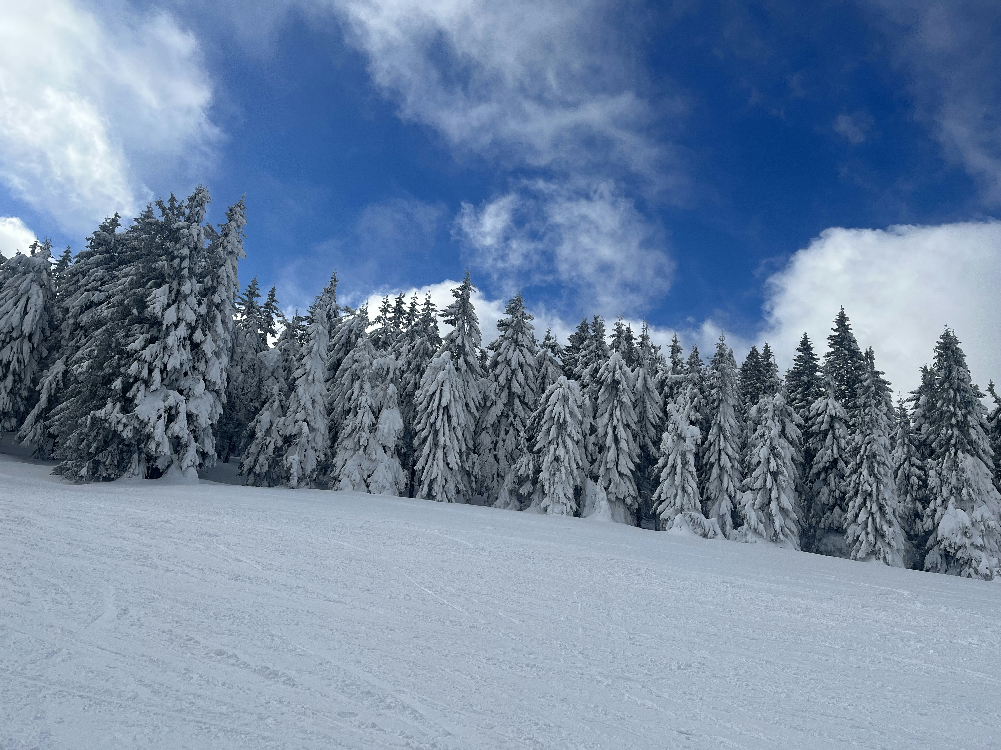 Photo by magdalenas7