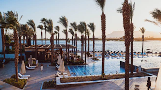 a large swimming pool surrounded by palm trees