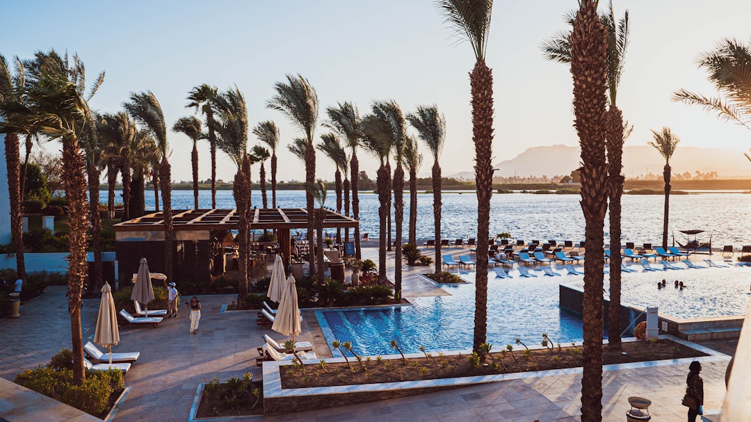 a large swimming pool surrounded by palm trees, The view of the Nile from the balcony of the Hilton Luxor Resort & Spa