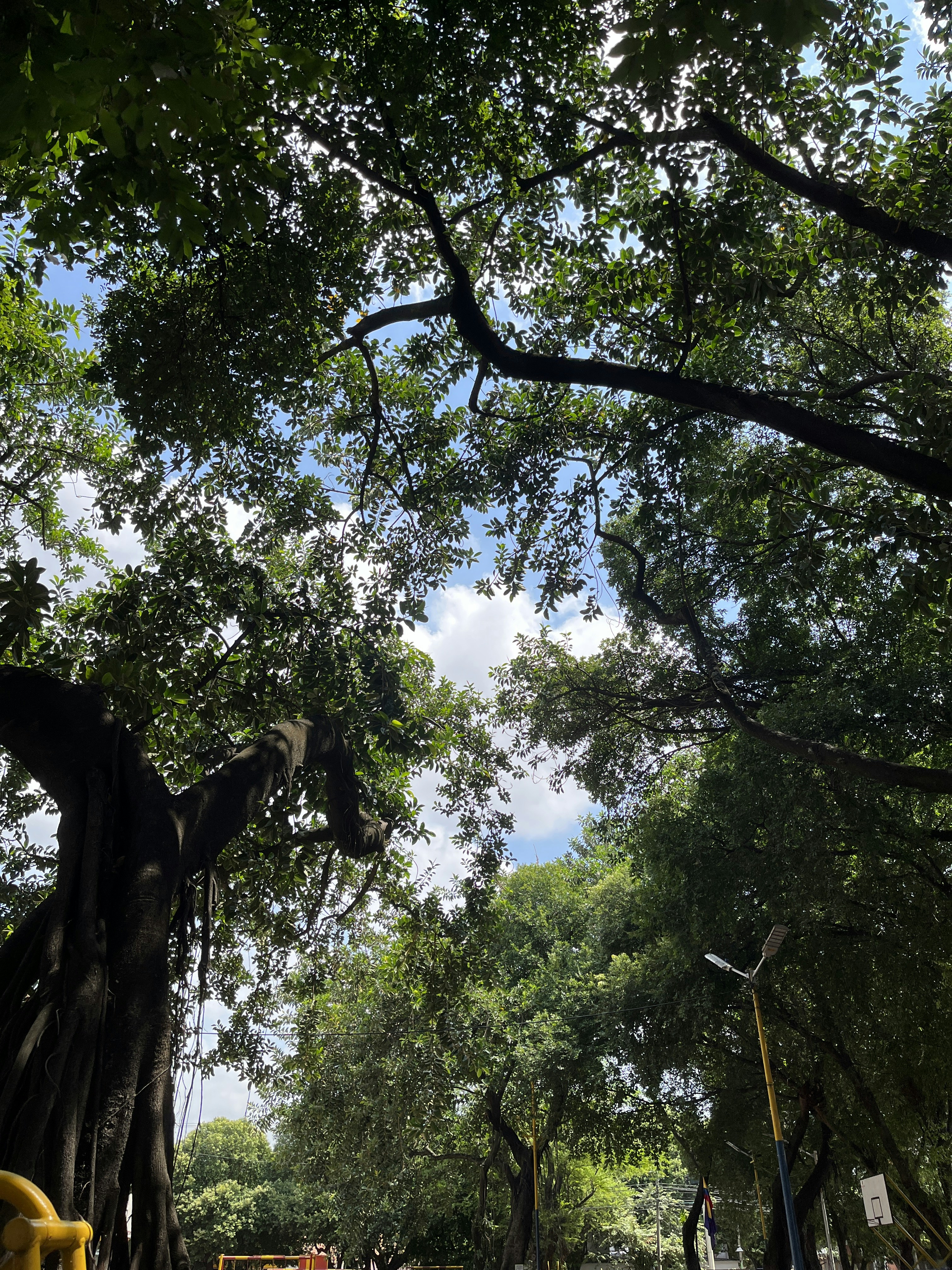 Photo by cris4ever77