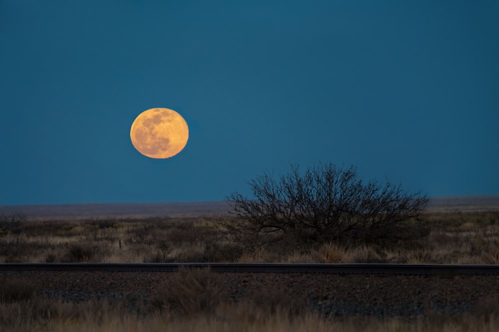 a full moon rises over a desert landscape