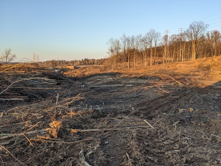 A freshly cleared plot of land with visible tree stumps and cleared brush.