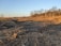 A barren landscape featuring cleared land with piles of logs and tree stumps scattered across the ground. The area is surrounded by standing trees and there are power lines visible in the distance.