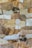 An arrangement of various natural stones, each with unique textures and colors, forming a mosaic-like pattern. The stones vary in shades of brown, tan, gray, and some darker hues, separated by thin mortar lines.