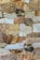 An arrangement of various natural stones, each with unique textures and colors, forming a mosaic-like pattern. The stones vary in shades of brown, tan, gray, and some darker hues, separated by thin mortar lines.