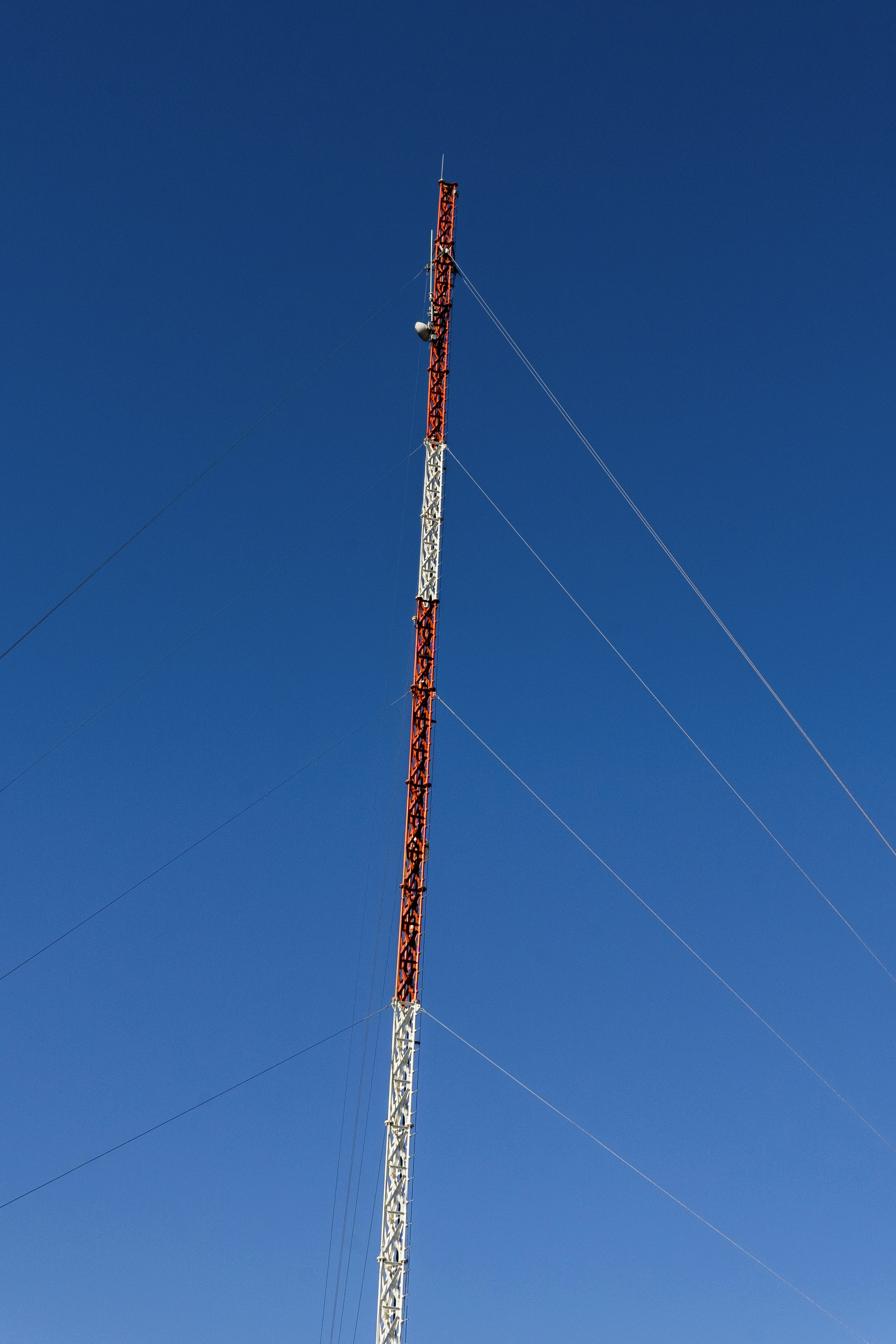 Photo by miguelphoto