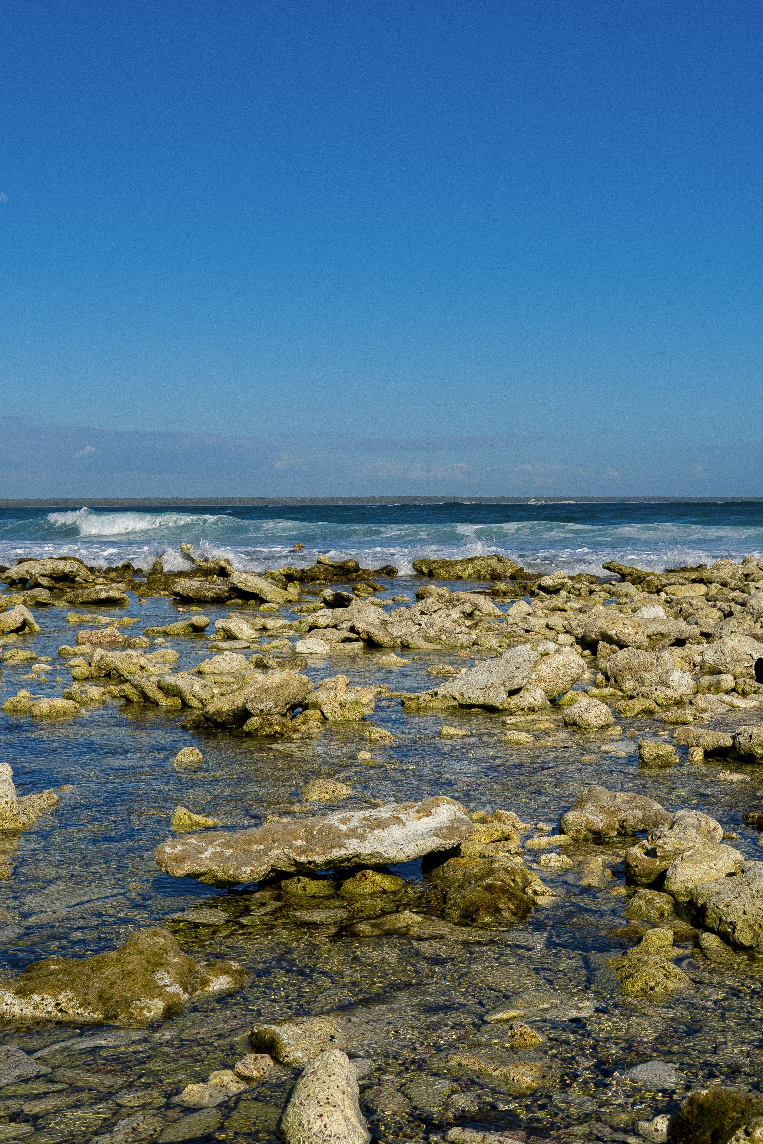 Photo by miguelphoto