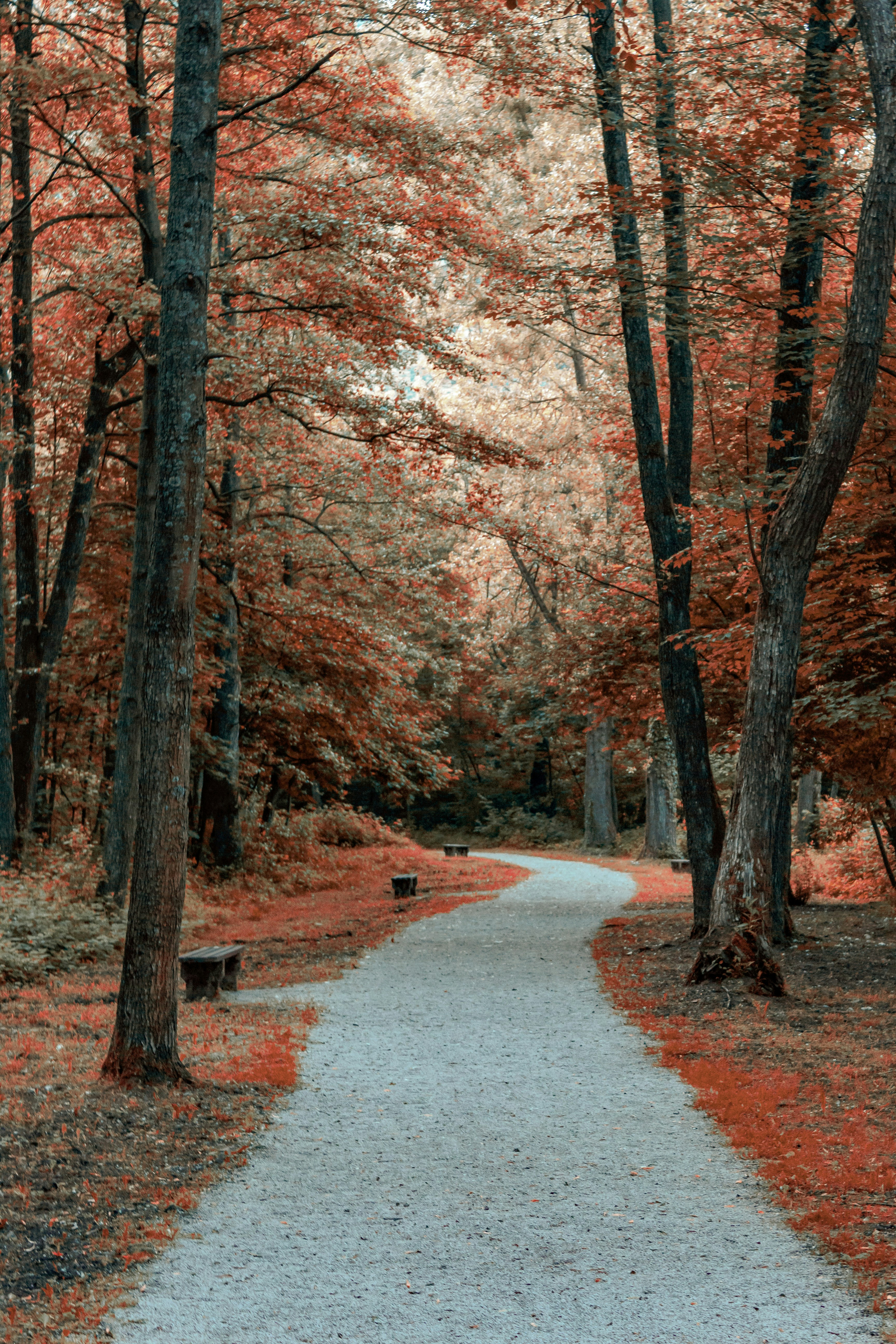 Photo by sporisevicphotography