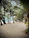 A tranquil beach scene with sandy shores lined with tall palm trees and dense greenery. Soft lighting from hanging bulbs creates a serene ambiance, with the ocean visible in the background.