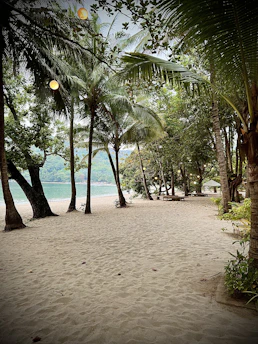 Cozy beachfront lodging with tropical plants surrounding the entrance at sunset.