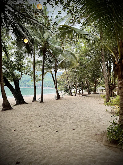 A cozy beachfront bungalow at sunset, with soft lights glowing and palm trees swaying gently.