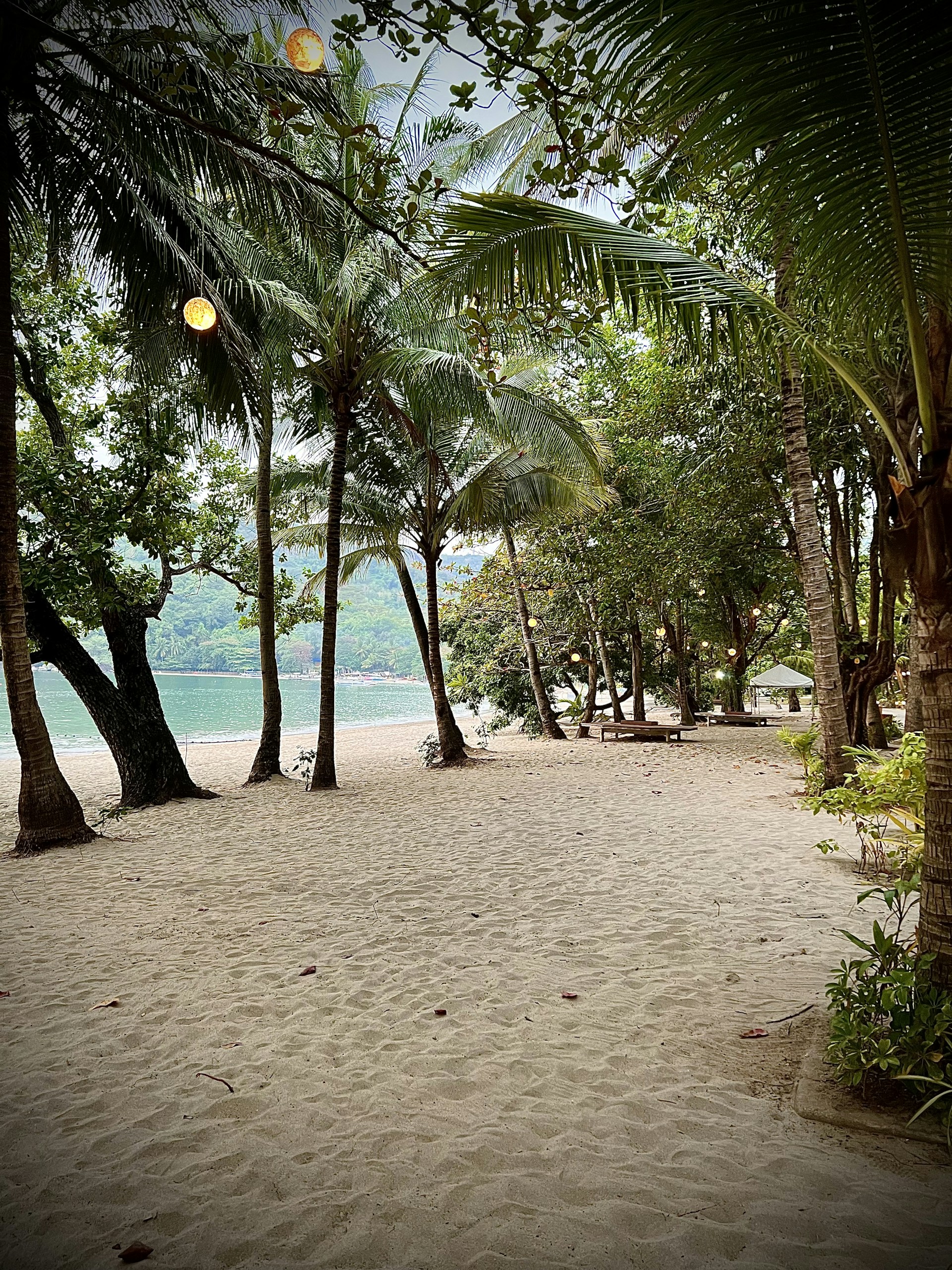 woman wearing yellow long-sleeved dress under white clouds and blue sky during daytime