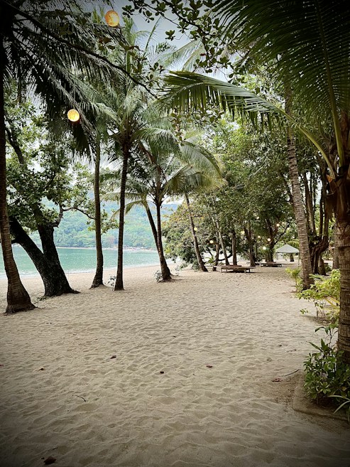 A tranquil beach scene with sandy shores lined with tall palm trees and dense greenery. Soft lighting from hanging bulbs creates a serene ambiance, with the ocean visible in the background.