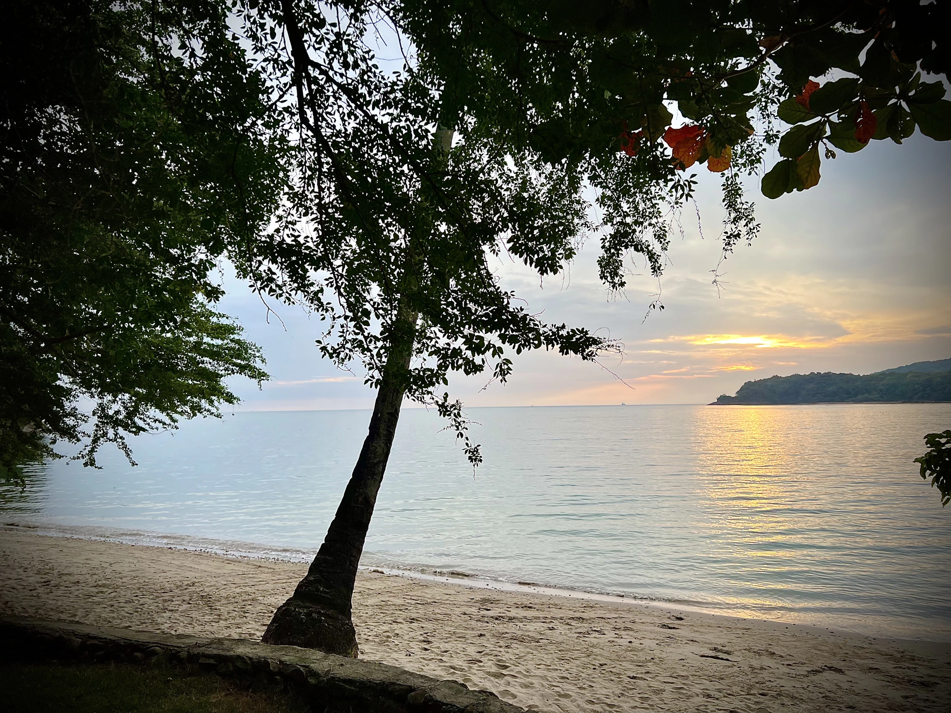 woman wearing yellow long-sleeved dress under white clouds and blue sky during daytime