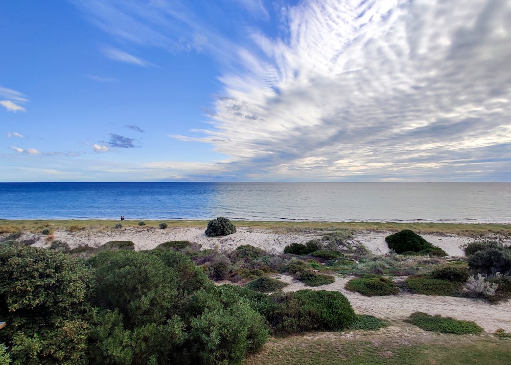 a view of the ocean from the top of a hill