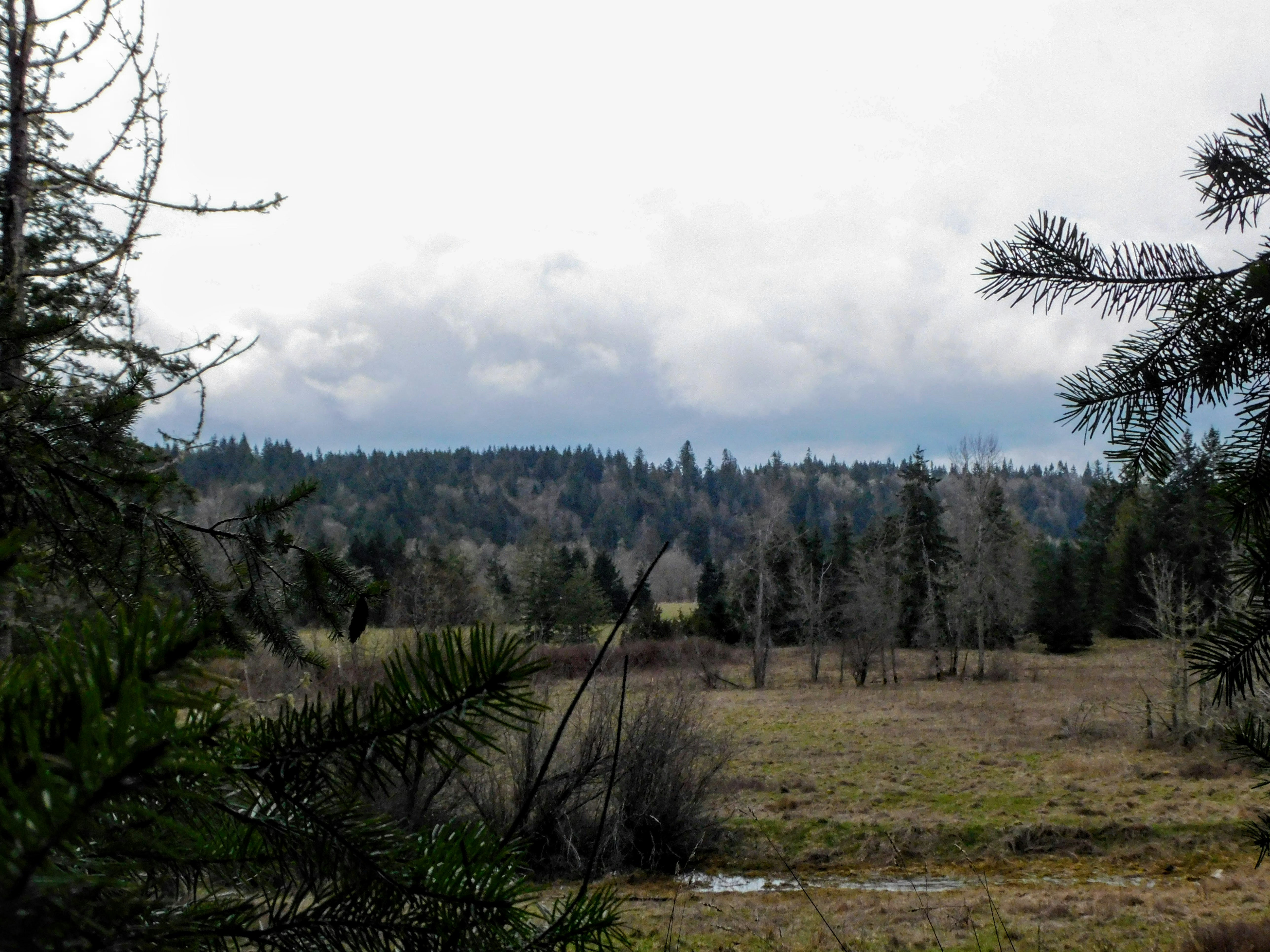 Photo by prphotography262