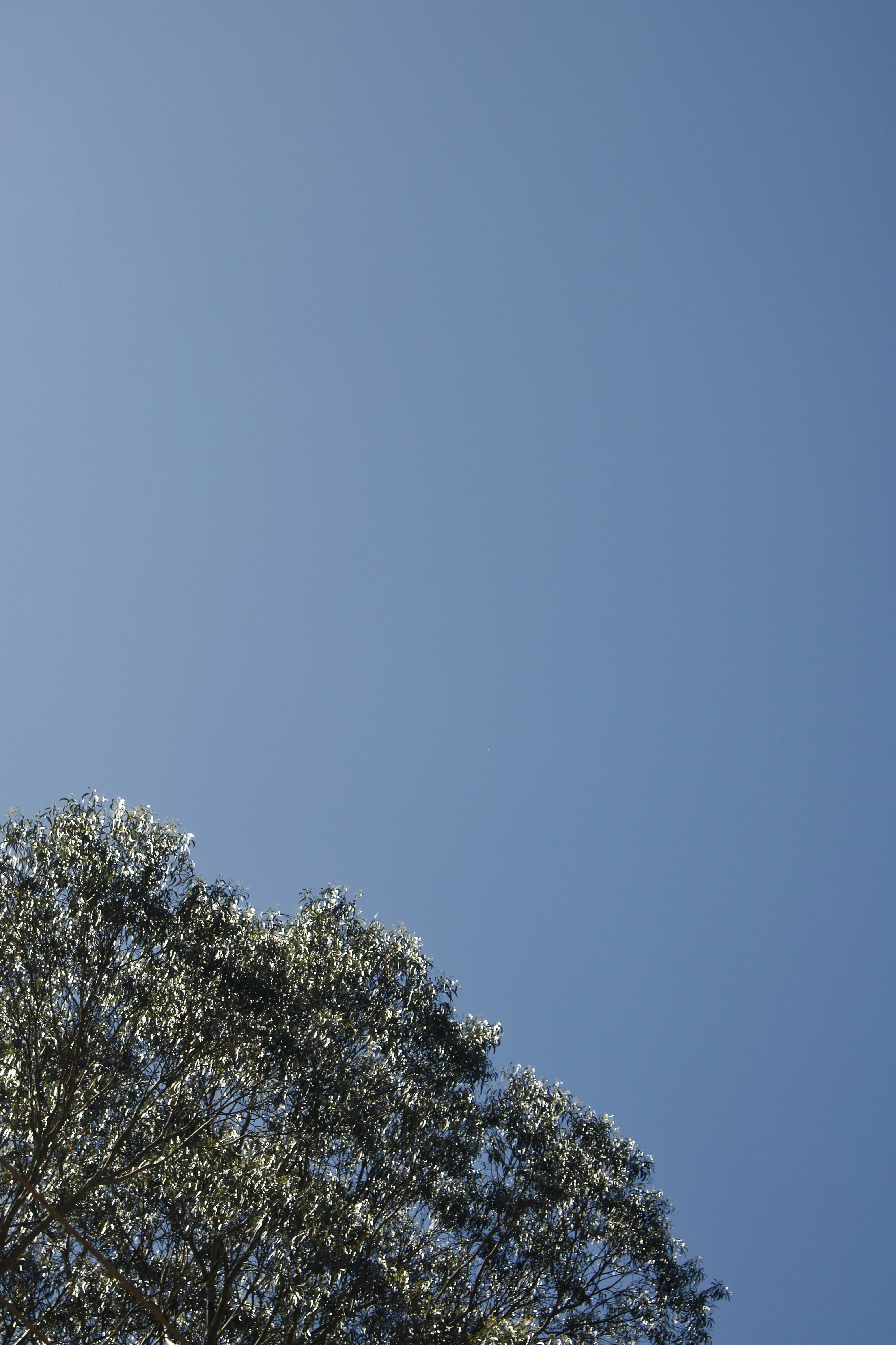 Photo by mishaalzahed