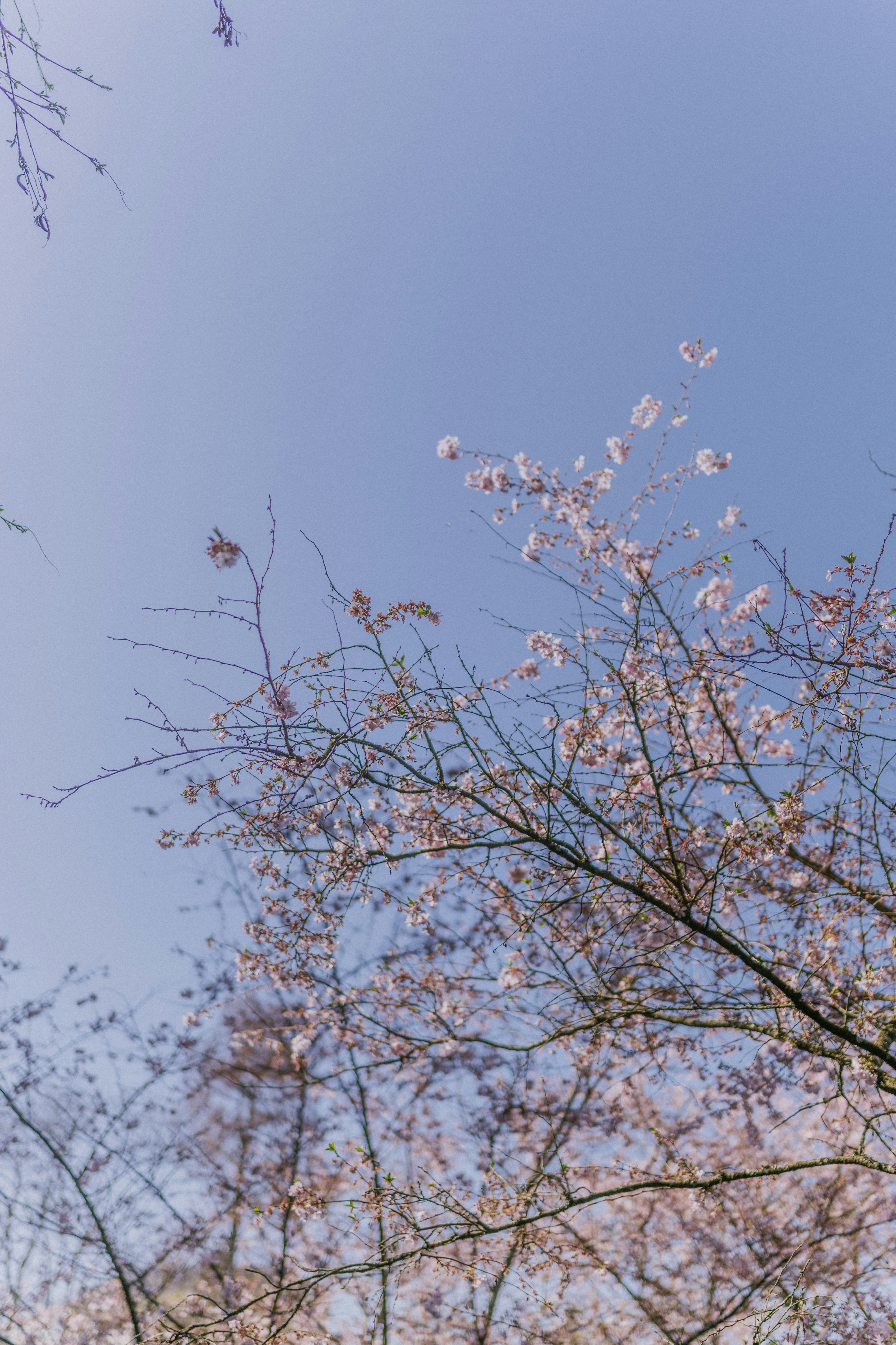 Photo by elmartinbaron