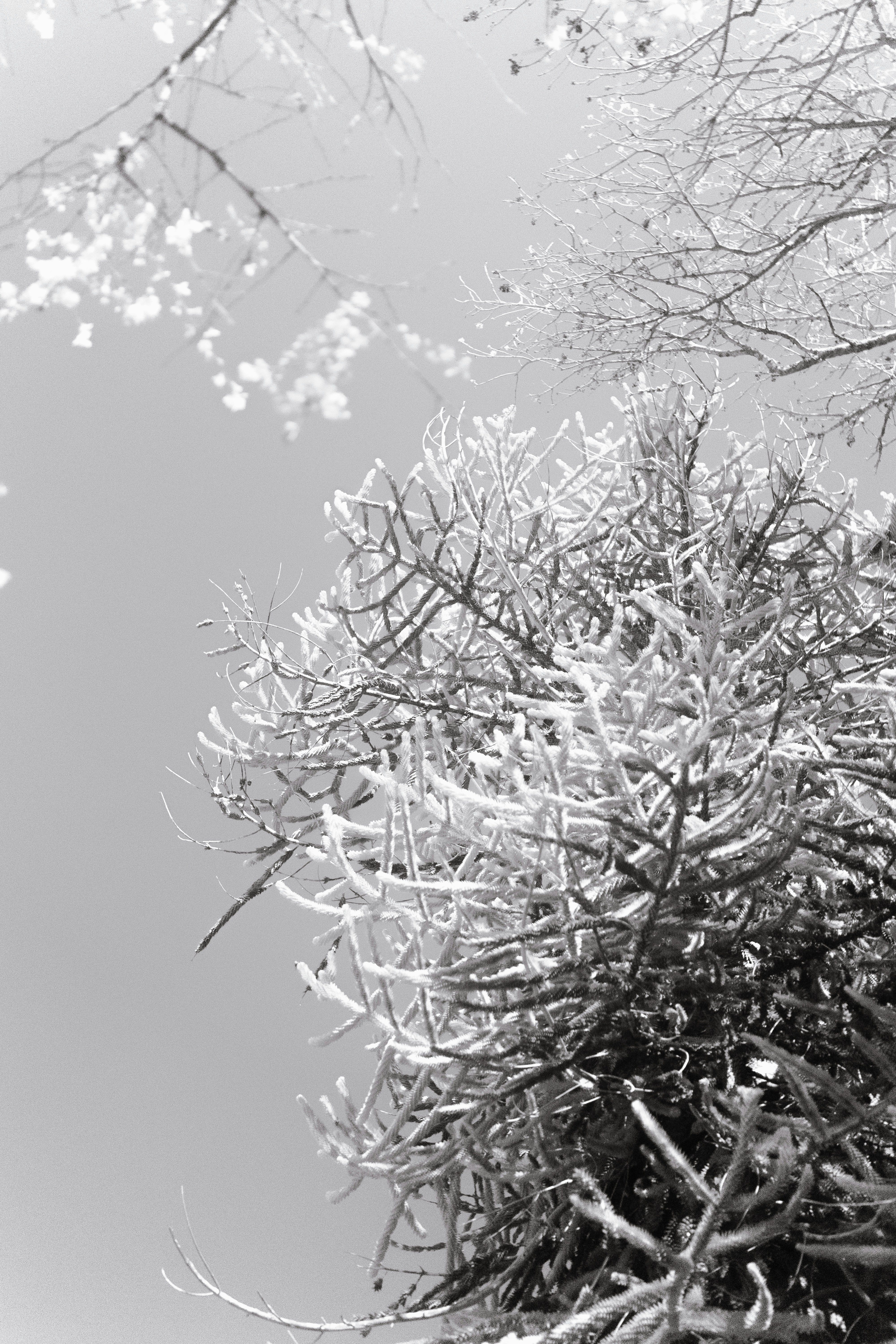 Photo by elmartinbaron