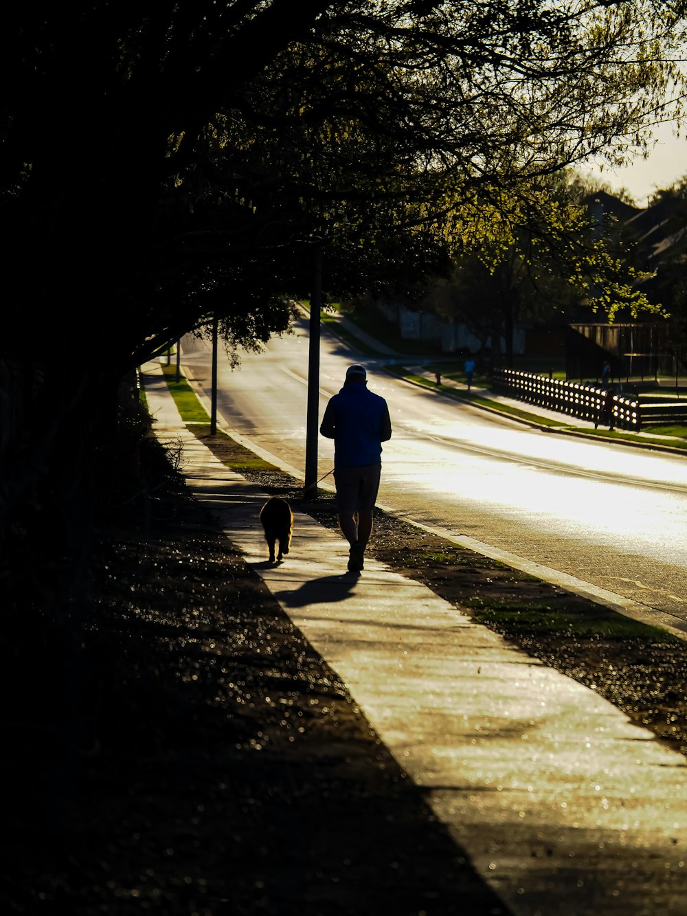 a person walking a dog down a street