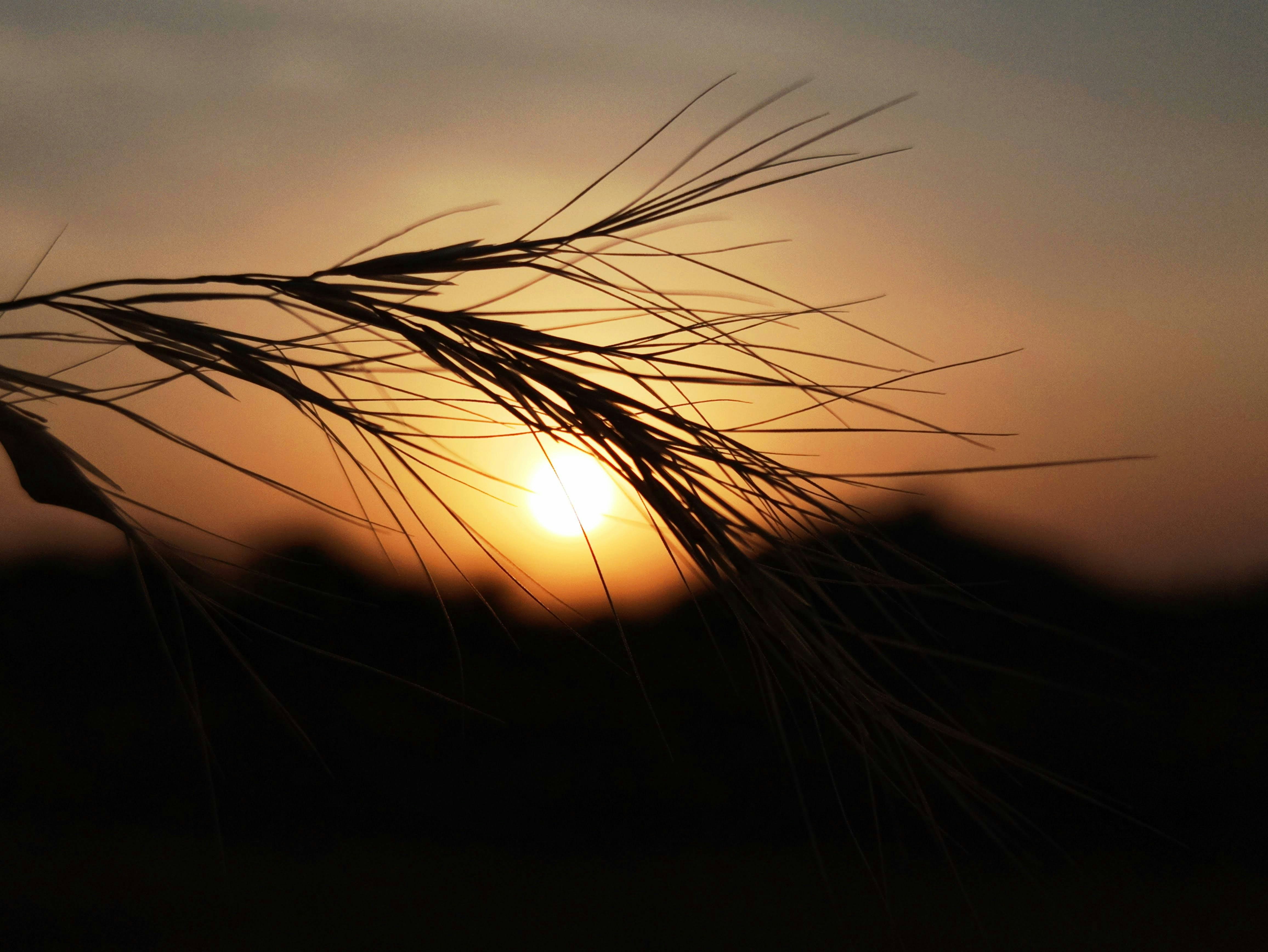 Photo by sha_rath_07