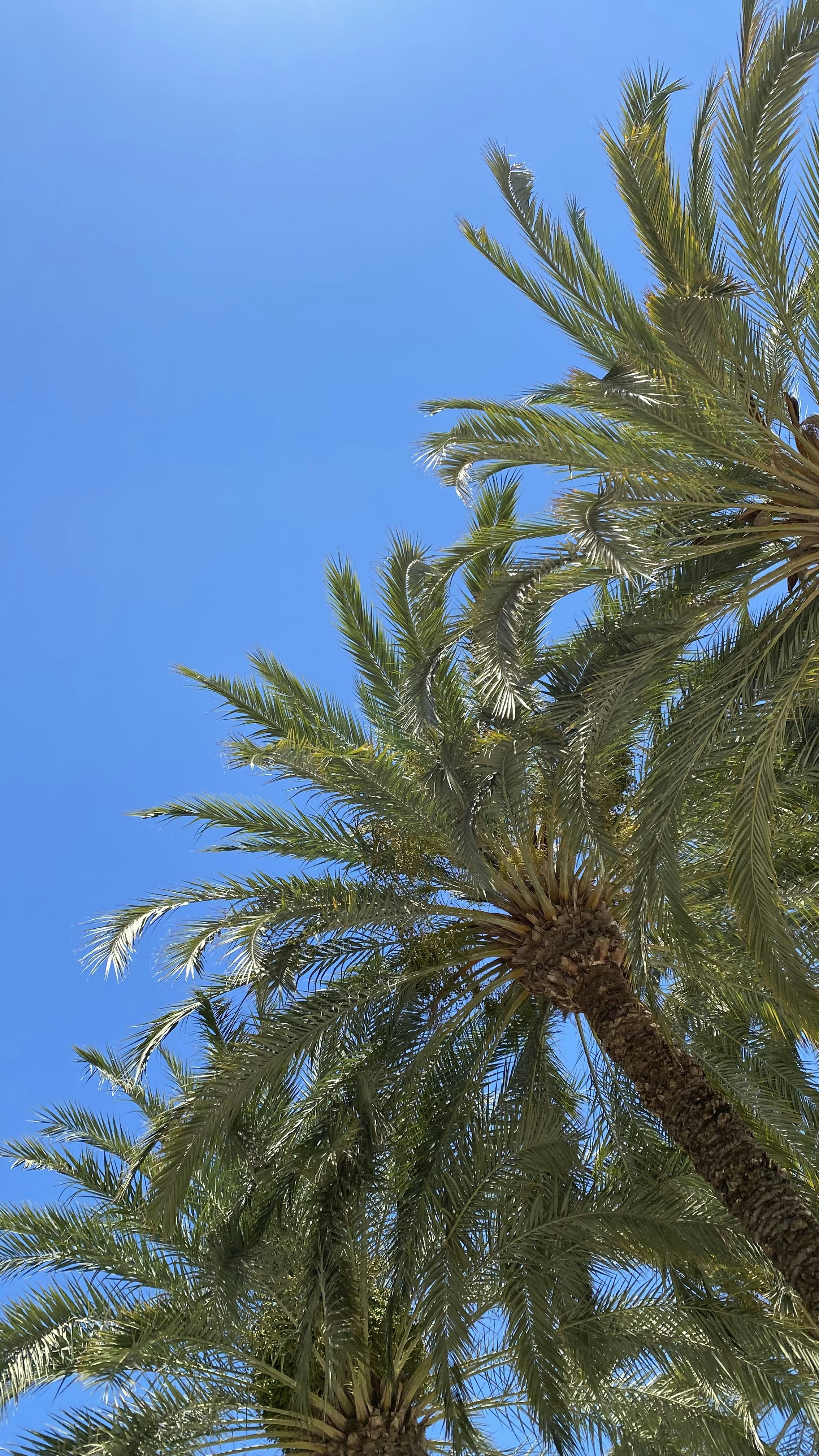 Photo by perrine_gtr