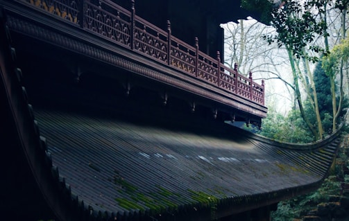 A traditional building features a curved roof with intricate wooden railing details. The roof is covered in some green moss, indicating age or a damp environment. Leafy trees surround the structure, providing a natural, serene setting.
