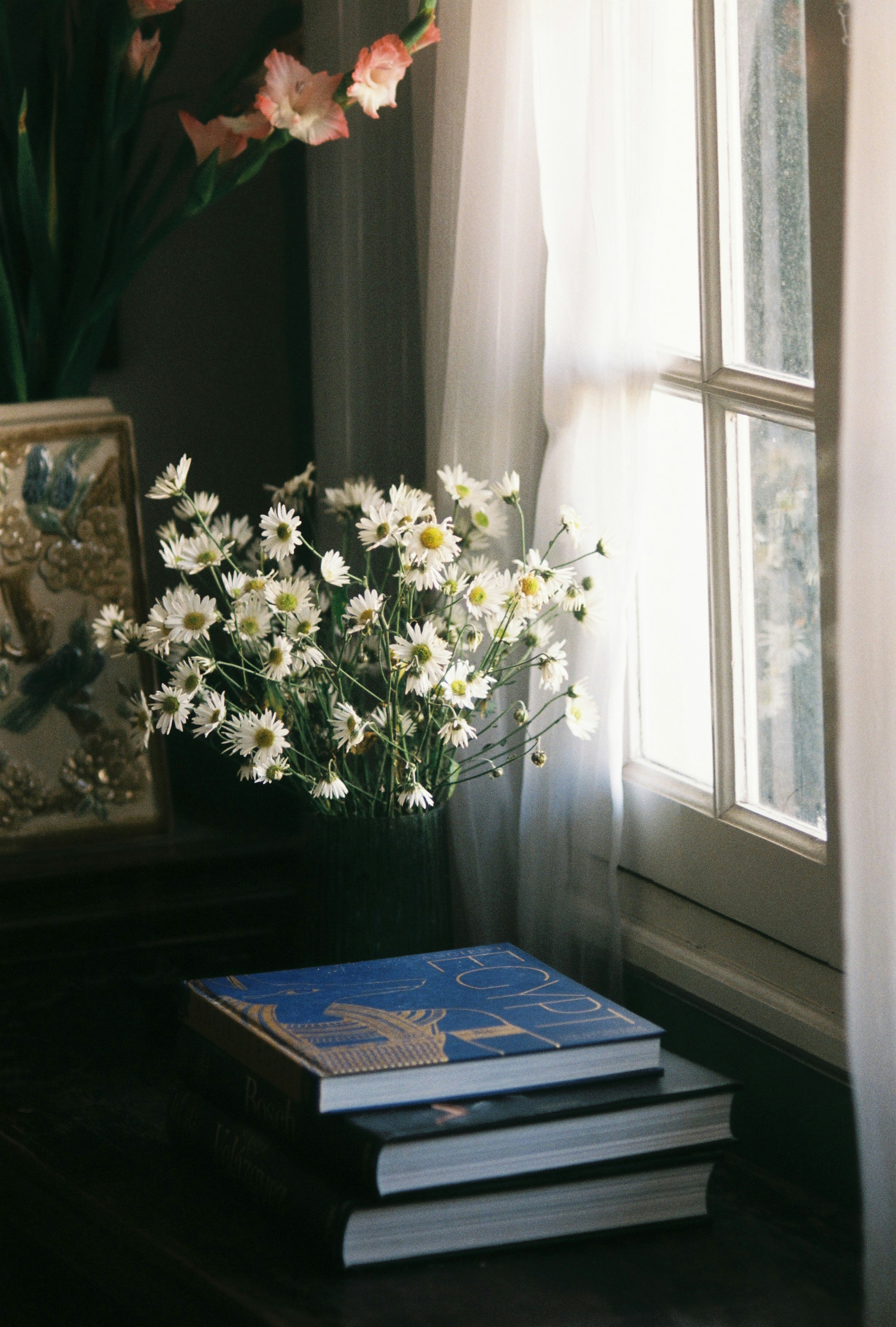 Photo by kyuubei07012008