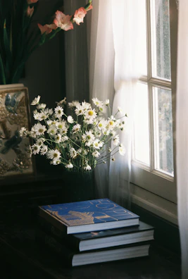 A sunny windowsill lined with colorful ceramic vases catching the morning light.